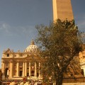 Terlizzi in Piazza San Pietro a Roma