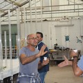 Floriana Urbano e i floricoltori di Terlizzi allestiscono il carro floreale