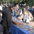 31° Anniversario della fondazione Comunità C.A.S.A. di don Tonino Bello