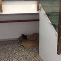 Branda nel sottoscala dell'ospedale