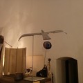 WunderKammer