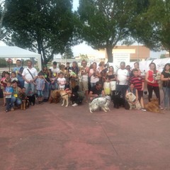 Manifestazione canina