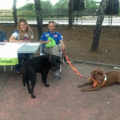 Manifestazione canina