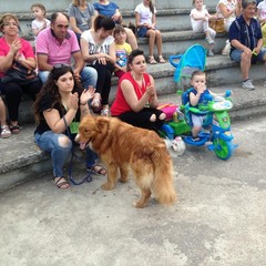 Manifestazione canina