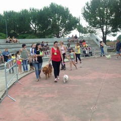 Manifestazione canina