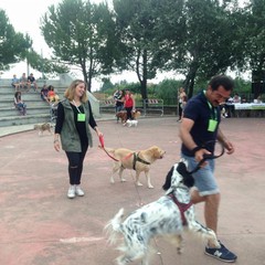 Manifestazione canina