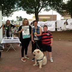 Manifestazione canina