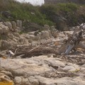 Una giornata di Ferragosto al mare