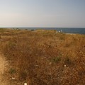 Una giornata di Ferragosto al mare