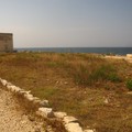 Una giornata di Ferragosto al mare