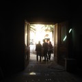Arrivo del Sipario storico del Teatro Millico