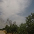 Incendio contrada Gurgo