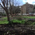 Caduta muro di recinzione largo Torino