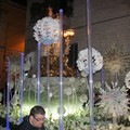 madonna del rosario 28