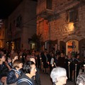 madonna del rosario 1 9