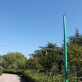 parco comunale 18