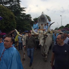 PROCESSIONE SOVERETO 2016