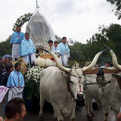 processione madonna sovereto 2016