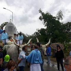 processione madonna sovereto 2016