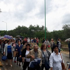 processione madonna sovereto 2016