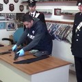 Arresto di due albanesi da parte dei Carabinieri