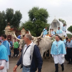 foto processione madonna sovereto  2016