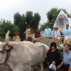 foto processione madonna sovereto  2016