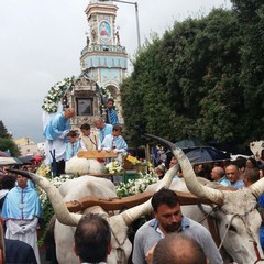 processione sovereto 2016