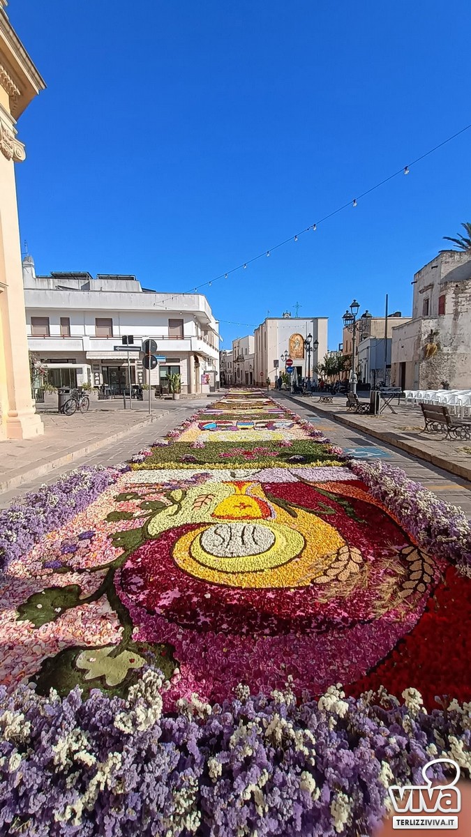 Infiorata Alliste con fiori terlizzesi