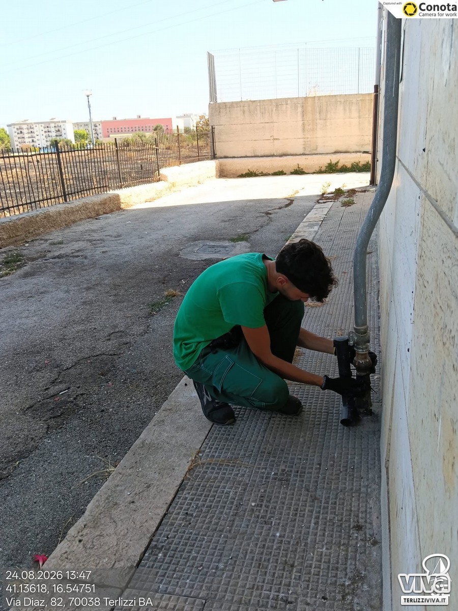 Derattizzazione