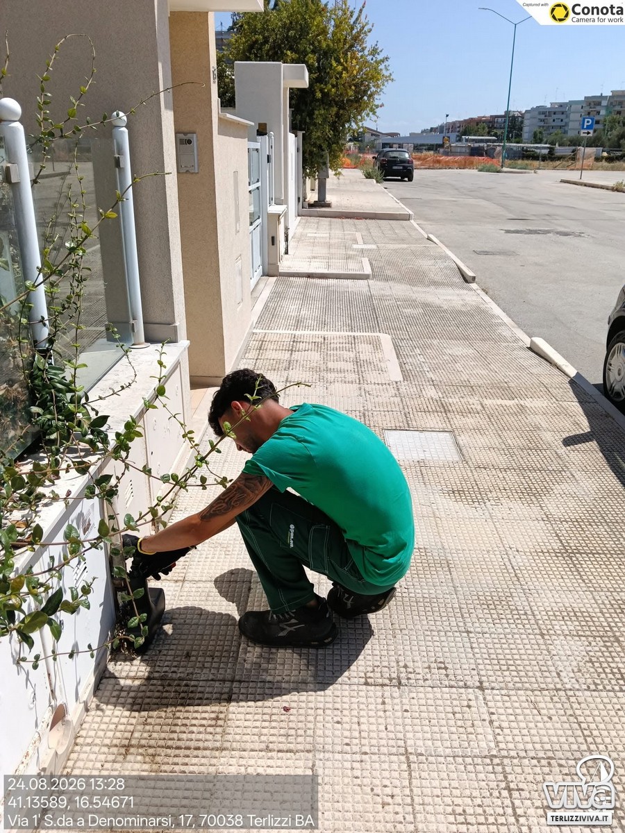 Derattizzazione