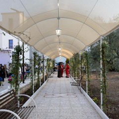 RSA “Madonna del Rosario” a Terlizzi