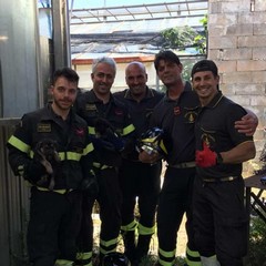 Da ore in un pozzo pieno d'acqua: 8 cuccioli di cane salvati a Terlizzi