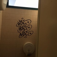 vandali in stazione