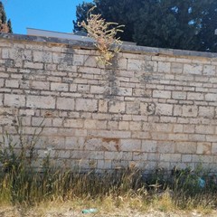 Le criticità del cimitero di Terlizzi