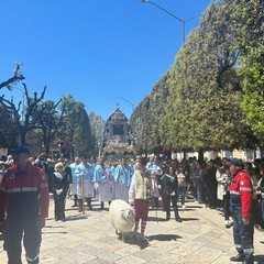 Processione in onore di Maria SS. di Sovereto-1° maggio 2025