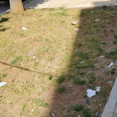 Rifiuti e piante infestanti nelle aree del verde pubblico. Foto dell'UDC Terlizzi