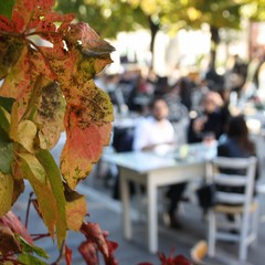 Aperitivo allaperto su corso Dante Terlizzi JPG