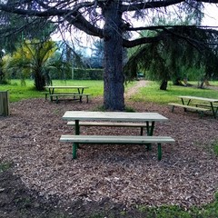 Parco comunale