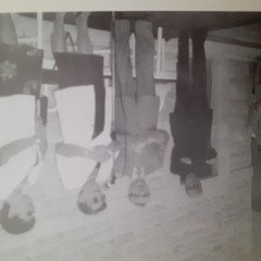 Autorit e familiari presenti cerimonia di apposizione agosto lapide in memoria dellArch Michele Gargano