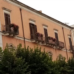 Balconi in fiore