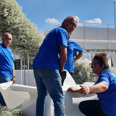Carro floreale 2026