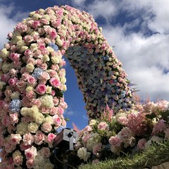 Carro floreale Madonna del Rosario JPG