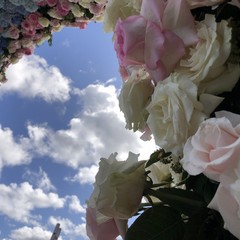 Carro floreale Madonna del Rosario JPG