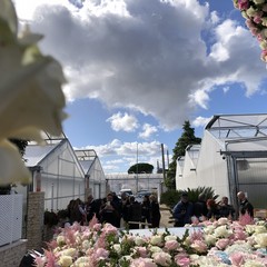 Carro floreale Madonna del Rosario JPG