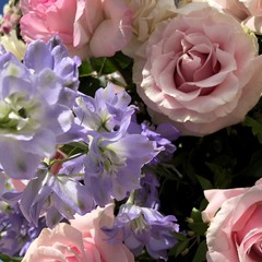 Carro floreale Madonna del Rosario JPG