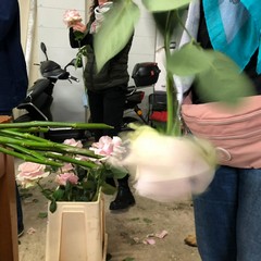 Carro floreale Madonna del Rosario