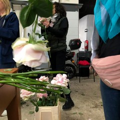 Carro floreale Madonna del Rosario