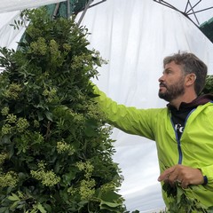 Carro floreale Madonna del Rosario JPG