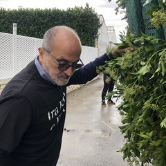 Carro floreale Madonna del Rosario JPG